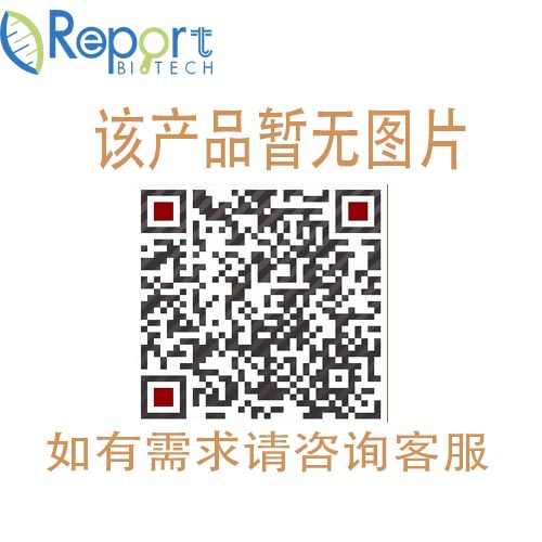 ReportBio RS0054 Donkey Serum 封闭用驴血清（原液）